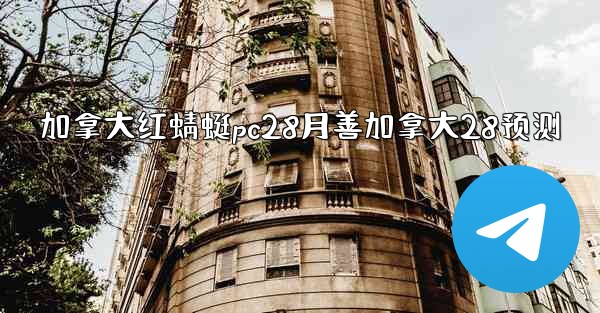 加拿大红蜻蜓pc28月善加拿大28预测