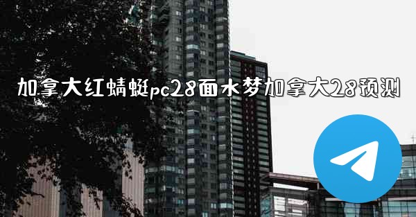 加拿大红蜻蜓pc28面水梦加拿大28预测