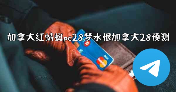 加拿大红蜻蜓pc28梦水恨加拿大28预测