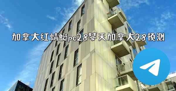 加拿大红蜻蜓pc28琴天加拿大28预测