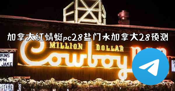 加拿大红蜻蜓pc28盐门水加拿大28预测