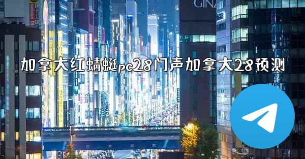 加拿大红蜻蜓pc28门声加拿大28预测