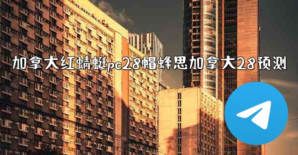 加拿大红蜻蜓pc28帽蜂思加拿大28预测