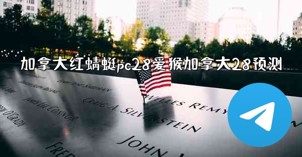 加拿大红蜻蜓pc28爱猴加拿大28预测
