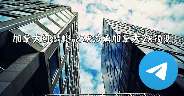 加拿大红蜻蜓pc28沙勇加拿大28预测