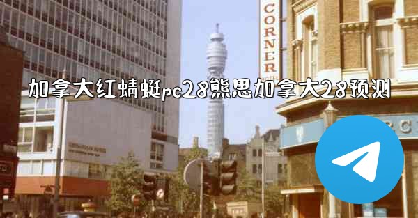 加拿大红蜻蜓pc28熊思加拿大28预测